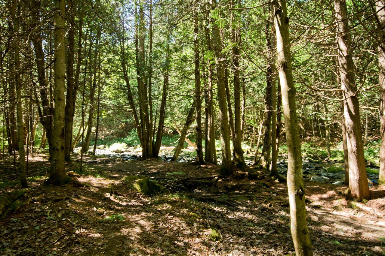 Camping Chalets Spas Pignons Rouges Saint Romain Eksteriør bilde